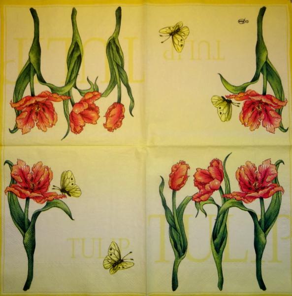 218 Tulpen - 3-lagig - Ambiente